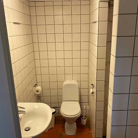 Ferienhaus Lodshuset - Party And Leisure Activity *